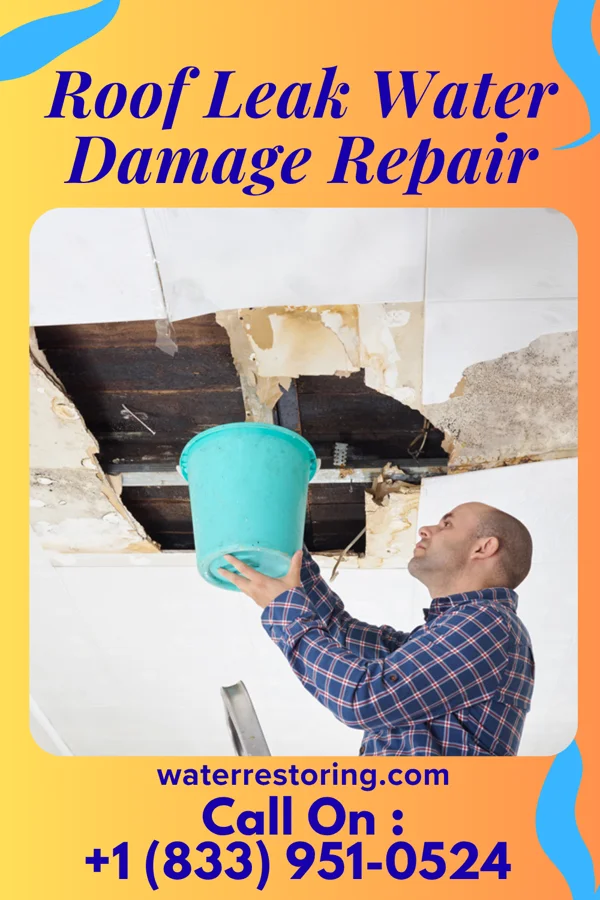 Roof Leak Water Damage Repair in Murfreesboro, AR